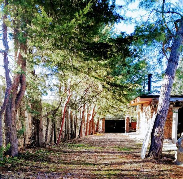La Cabana De Piedra 鲁伊德拉 外观 照片